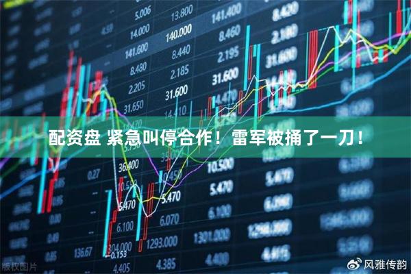配资盘 紧急叫停合作！雷军被捅了一刀！