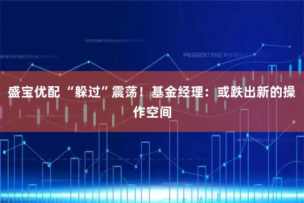 盛宝优配 “躲过”震荡！基金经理：或跌出新的操作空间