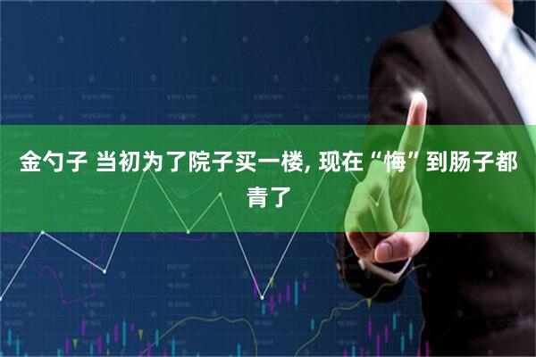 金勺子 当初为了院子买一楼, 现在“悔”到肠子都青了